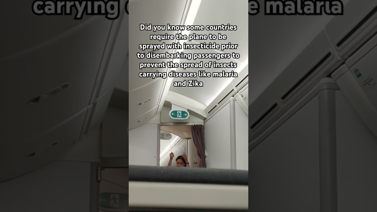 Spraying Plane with Insecticides #travel #bugs #insects #airtravel #malaria #zikavirus