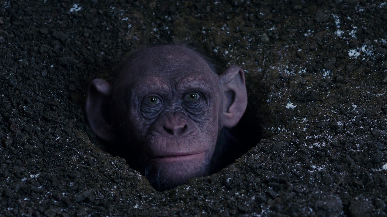 War for the planet of the Apes - Bad Ape gets into che camp.