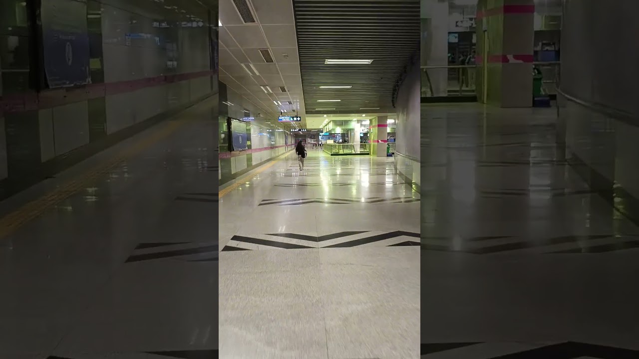 Nehru enclave metro station underground 🪟🚉#viralvideo #shortvideo #travel #metro #subscribe