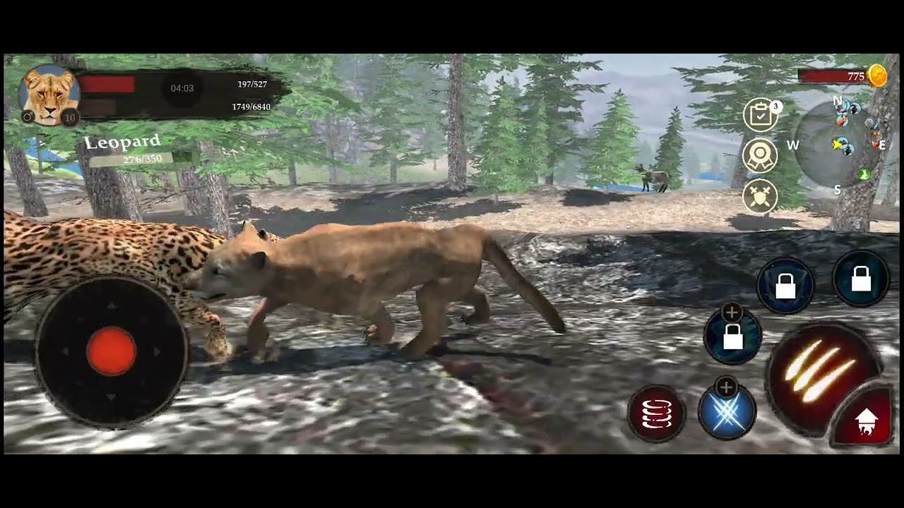 The Leopard game