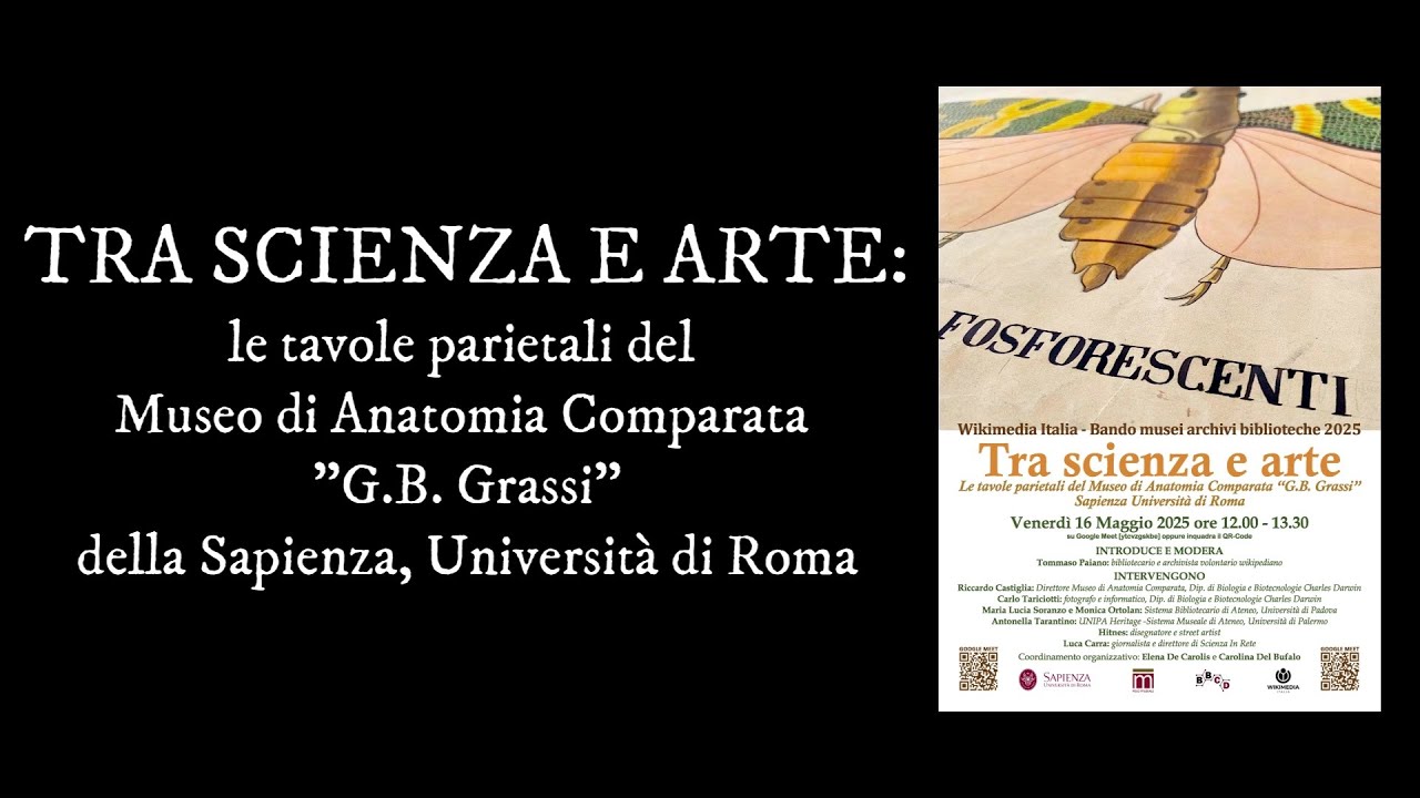 Tra scienza e arte: le tavole parietali del Museo di Anatomia Comparata 