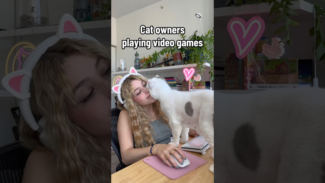 Playing video games as a cat owner 🐱