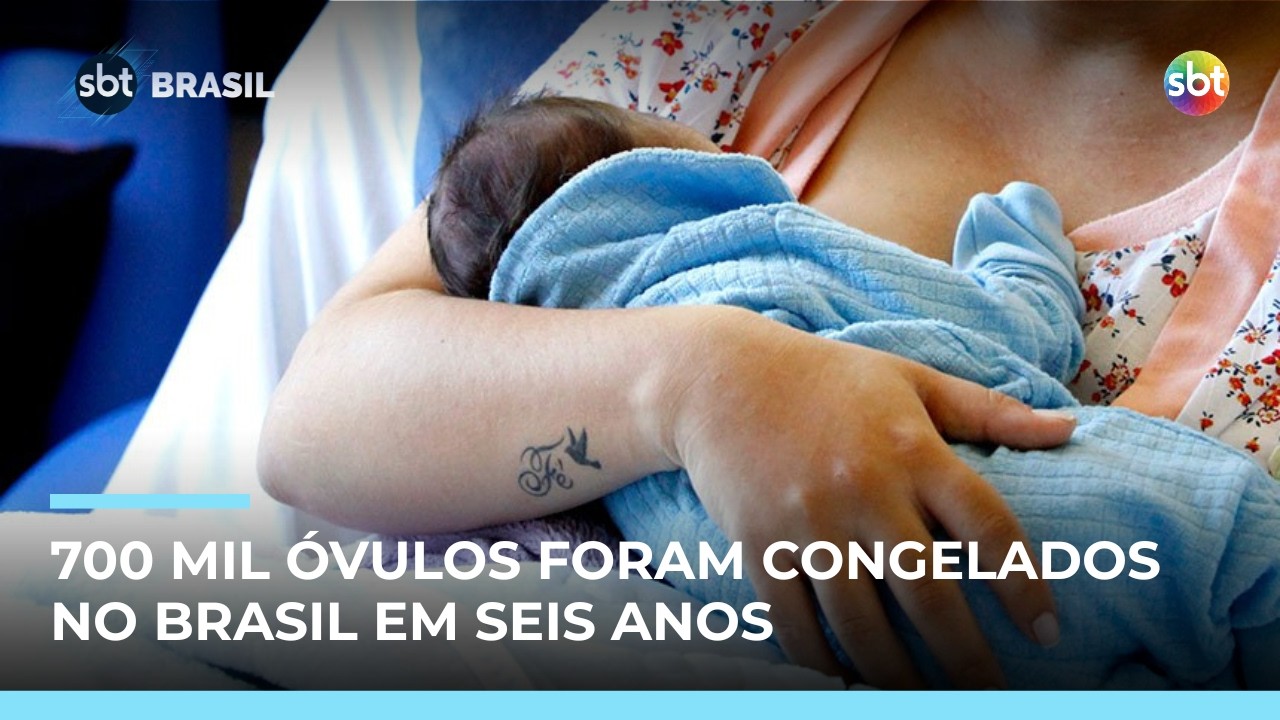Congelamento de óvulos cresce 66% no Brasil; maternidade ganha novo cronograma | #SBTBrasil