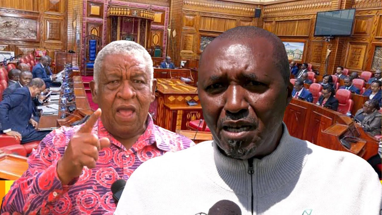 Furious Nakuru's Hon Kimani Ngunjiri & Njenga Mungai Blast Senators Over DP Gachagua's Impeachment