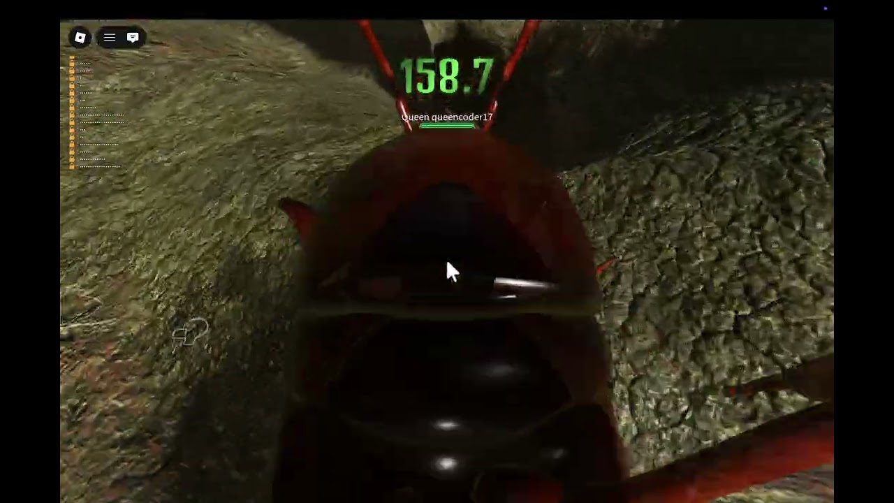 life cycle of a fire ant!!! from egg to larvae to queen!!!