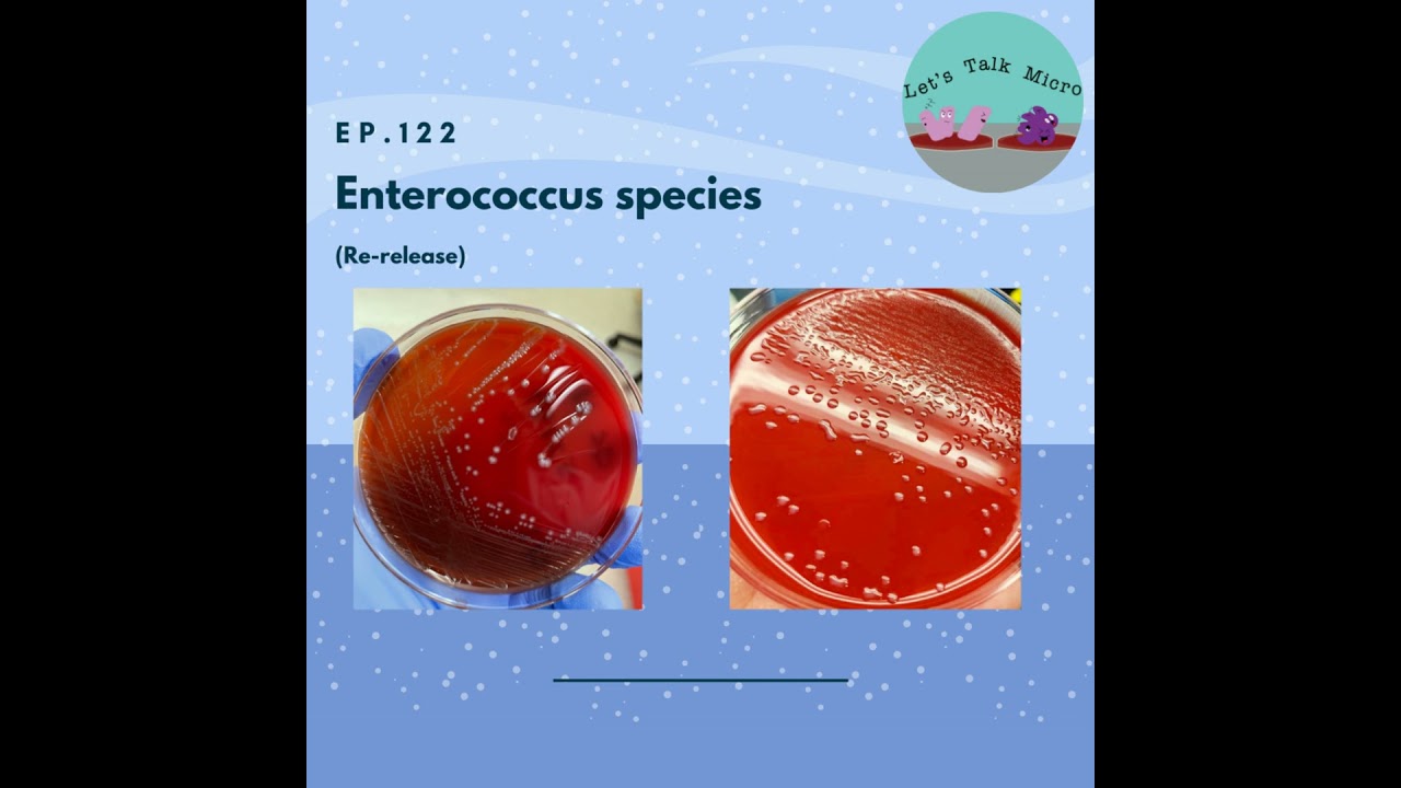 122: Enterococcus species (re-release)
