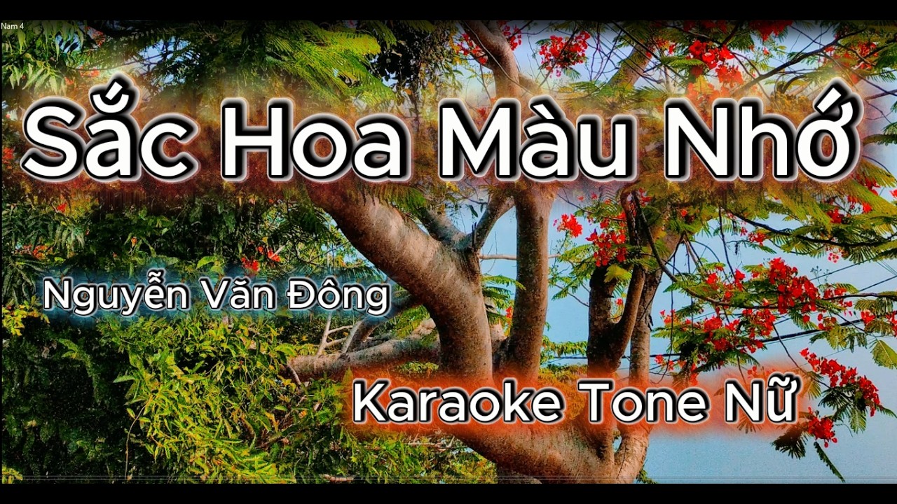 Sắc Hoa Màu Nhớ - Karaoke Tone Nữ ( Điệu Rumba  Mới Lạ )