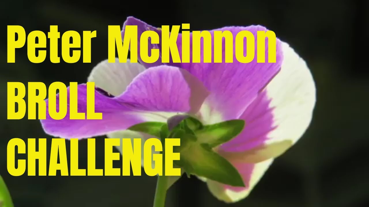 Peter McKinnon BROLL CHALLENGE - #PMBROLLCHALLENGE