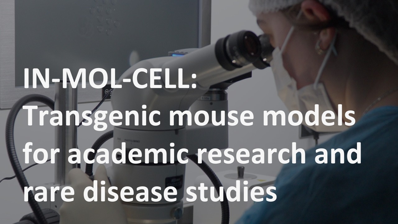 IN-MOL-CELL: Transgenic mouse models for academic research and rare disease studies.
