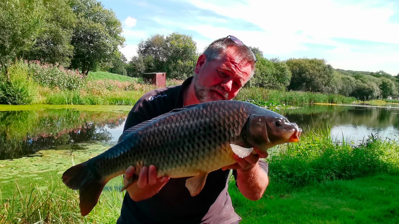 Summer Fly Fishing For Carp At Gatebeck Tarn Fishery
