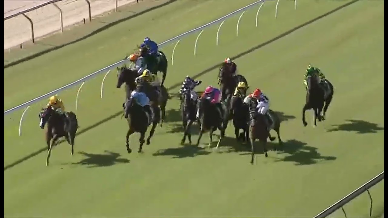 RACE 4 - Port Macquarie - 16 MAR 2026