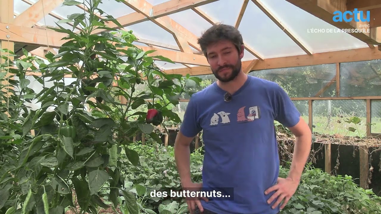 Il fait pousser des fruits exotiques dans son jardin
