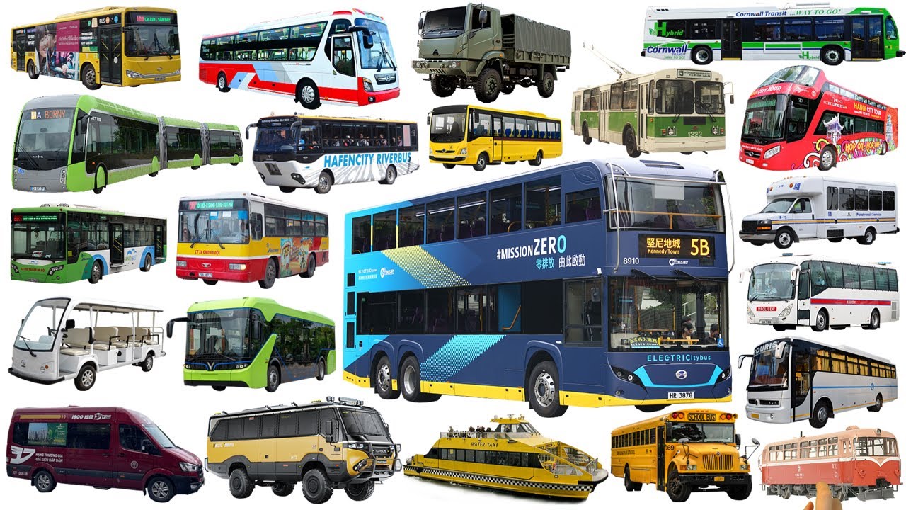 School Bus, City Bus, Coach, Police Bus | Bus name collection - Learning Vehicle Types of Bus