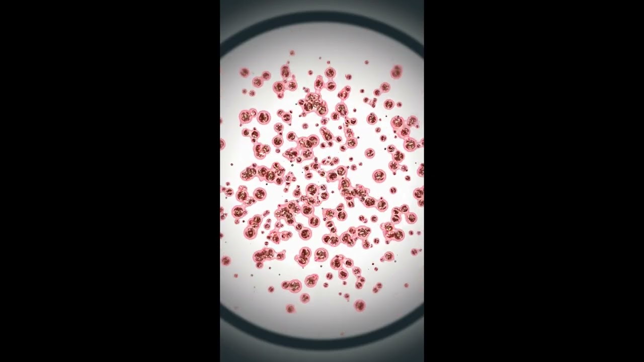 30,000-year-old Ancient Zombie Virus 'Comes Back to Life'