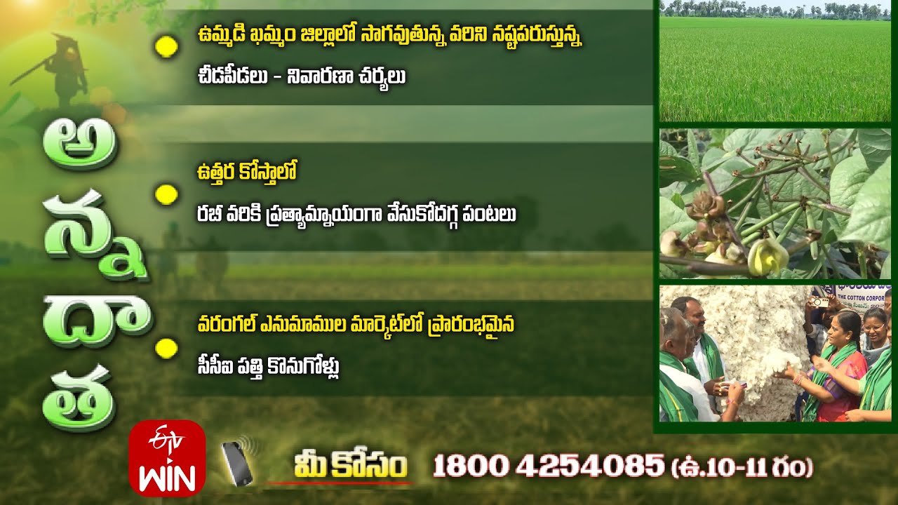 28th October 2025 | Annadata | అన్నదాత | Full Episode | ETV Telugu
