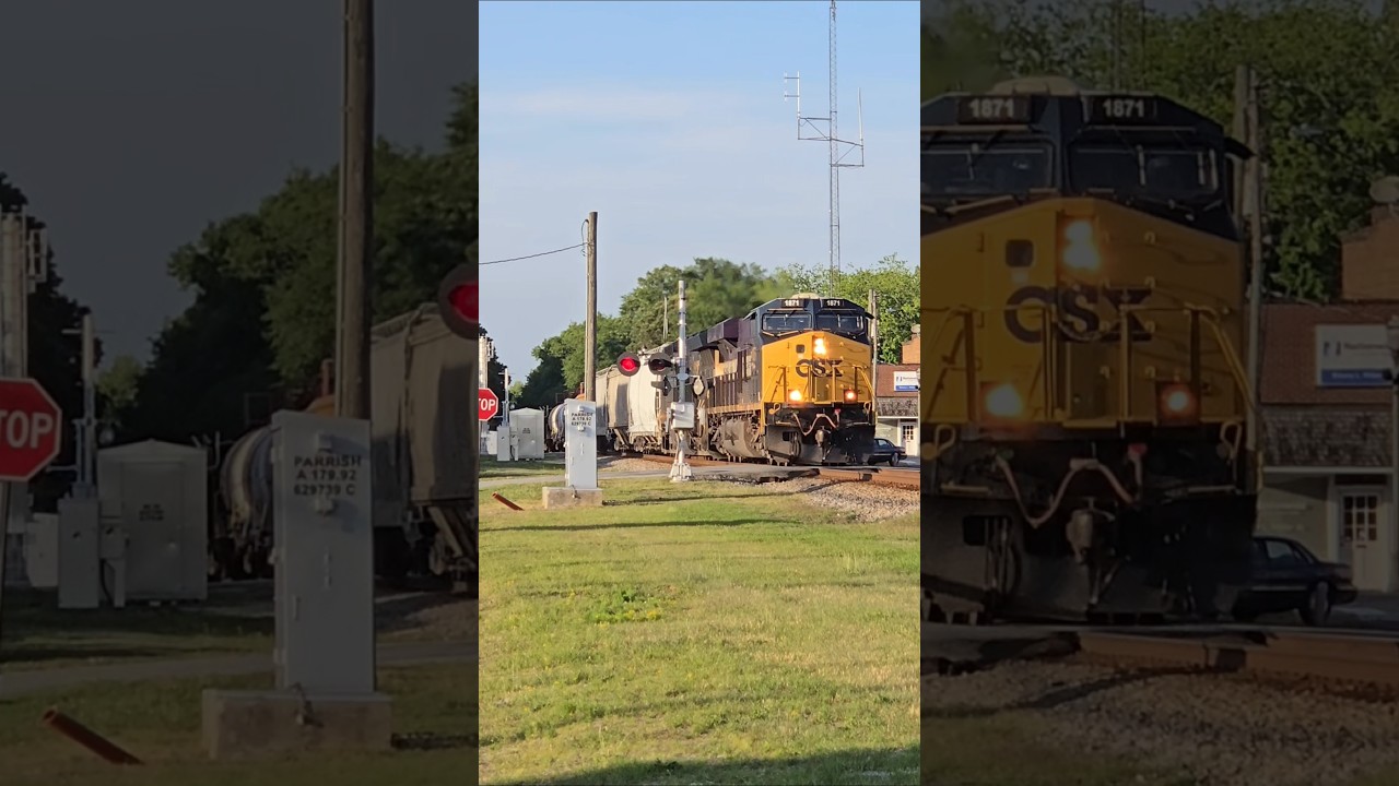 Atlantic Coast Line Heritage Unit Leads CSX Train M491