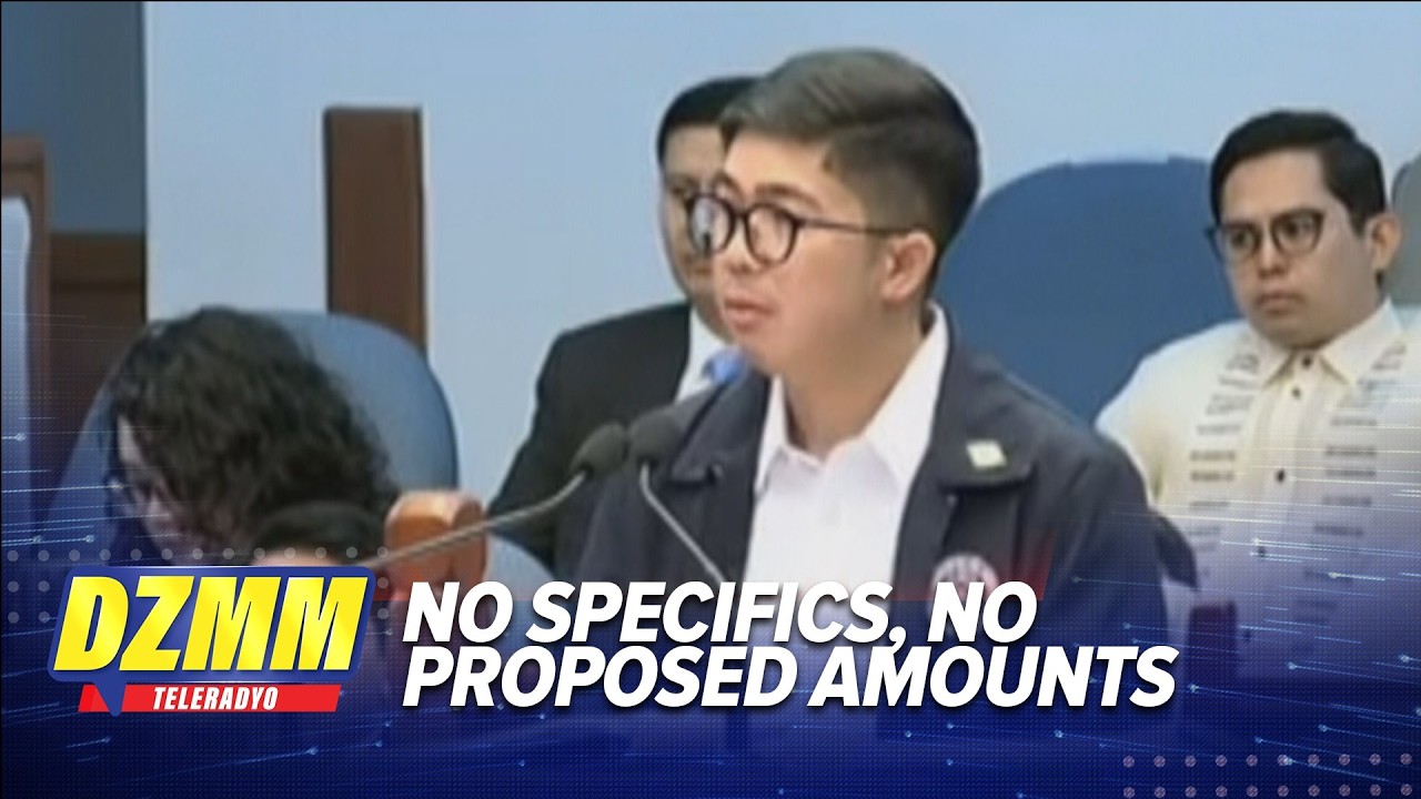 Witness: OVP did not identify programs for confidential funds use | DZMM TeleRadyo