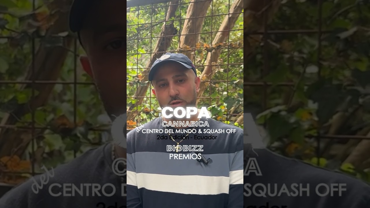 Copa cannabica del CENTRO DEL MUNDO & SQUASH OFF #copa #mundocannabis #squash #cbdcommunity #rosin