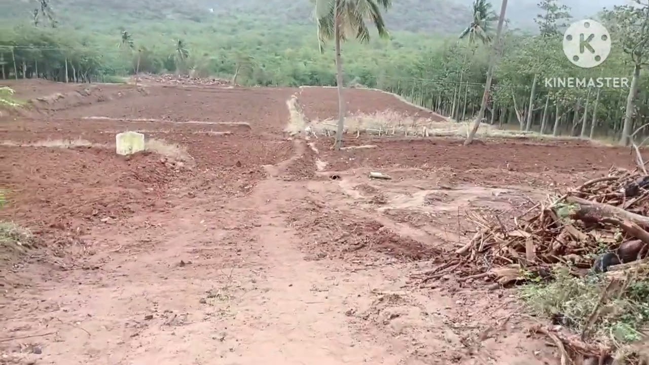 தேனி மாவட்டம் கடமலைக்காரன். மிக குறைந்த விலைக்கு 4ஏக்கர் விவசாய நிலம் விற்பனைக்கு. 8144201894.⭐