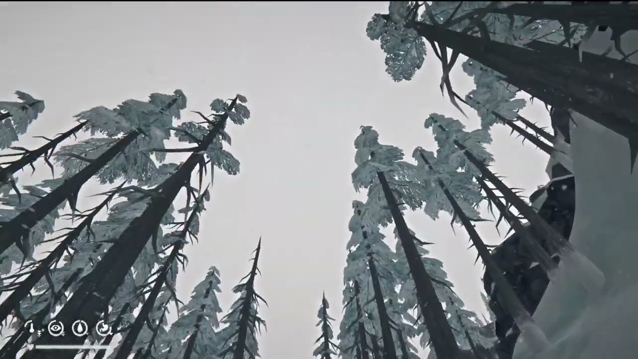 Community challenge: Wolf Wrangler Misery Mode Pt 1