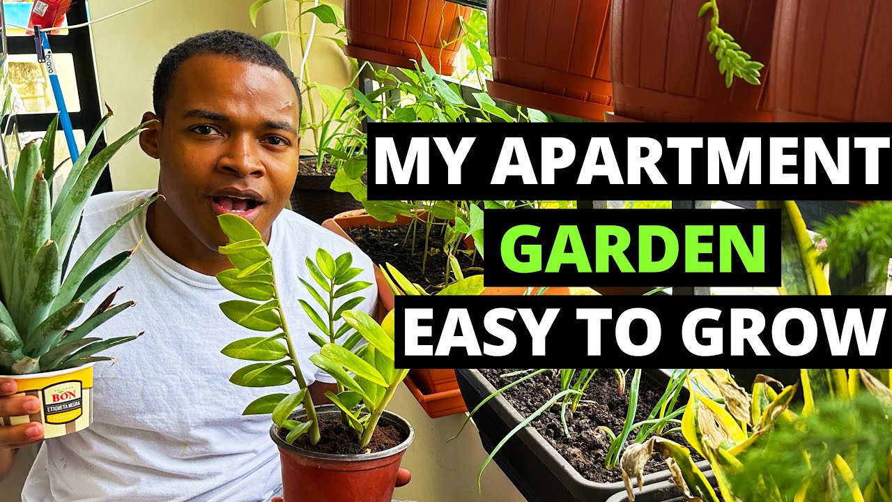 Why I Started Growing Food In My Apartment