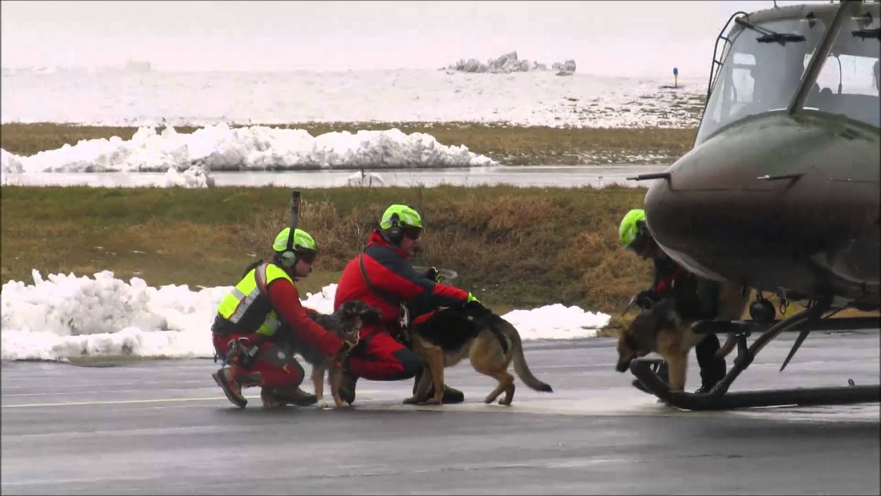 Usposabljanje vodnikov reševalnih psov GRZS - helikopter - 15.02.2016
