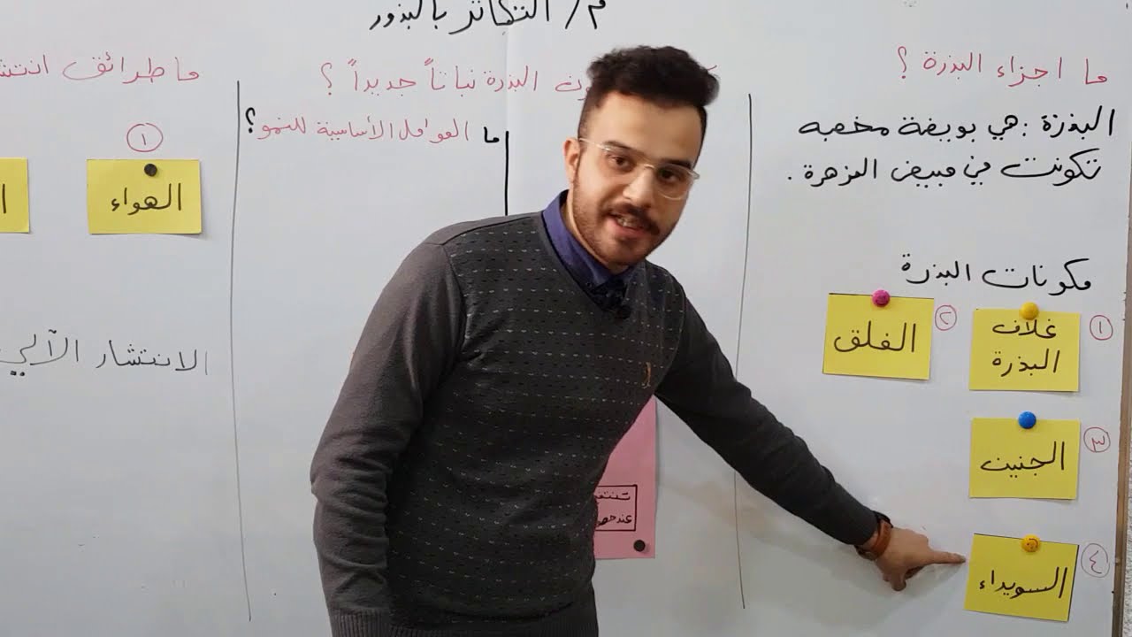 درس مبادئ العلوم موضوع ( التكاثر بالبذور ) للصف السادس الابتدائي مع الاستاذ مهند حسين 2024