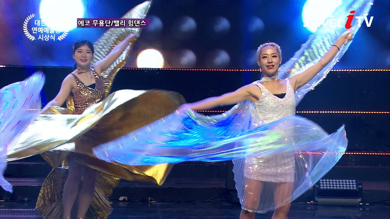 에코 무용단 - 밸리 윙댄스 [제 29회 대한민국 연예예술상 시상식 축하공연 / 실버아이TV]