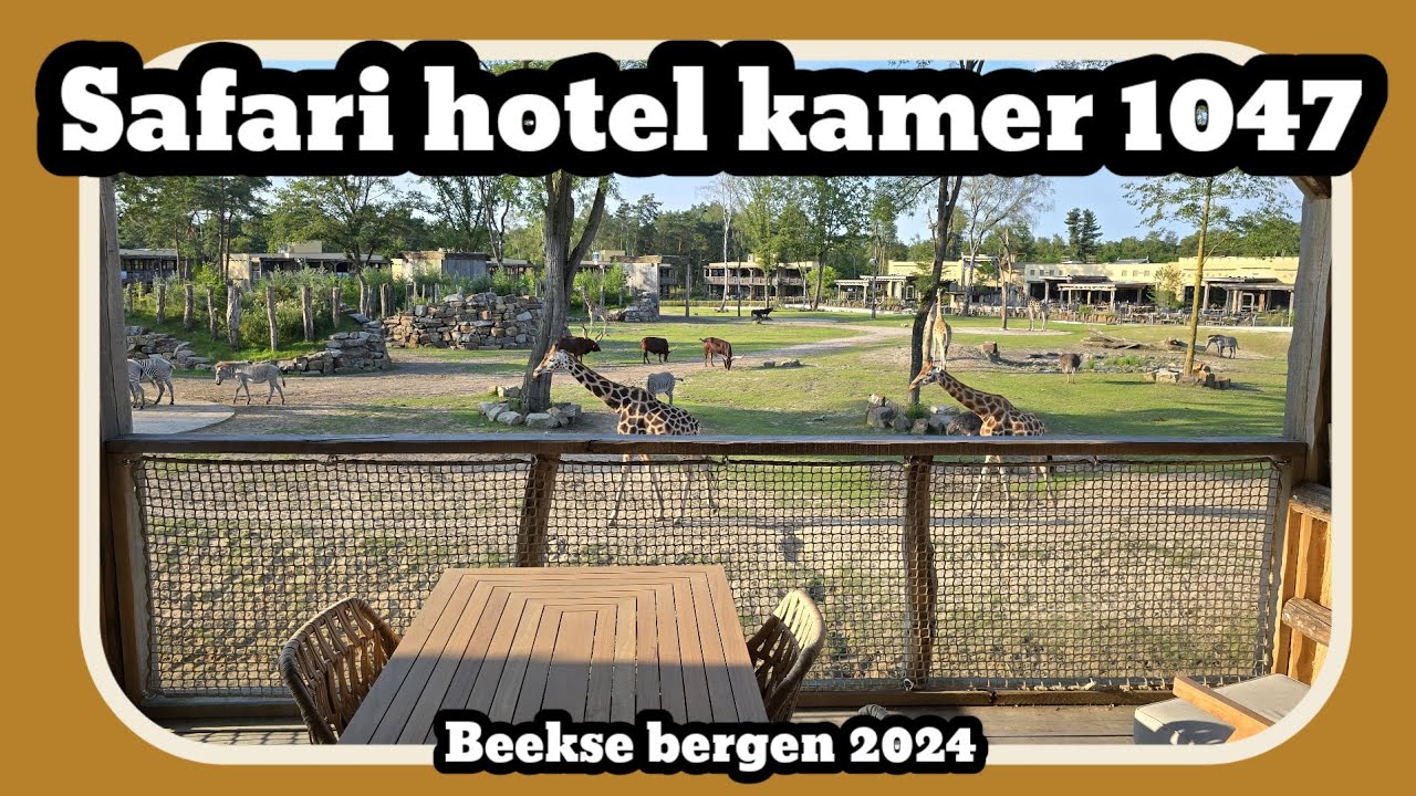 Safari hotel kamer 1047 [Beekse bergen 2024]