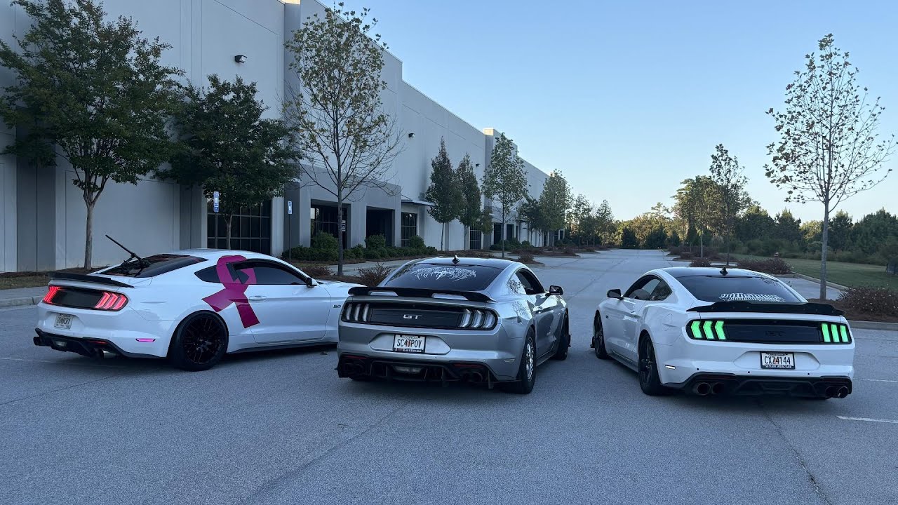 Loud MUSTANGS disturb the peace