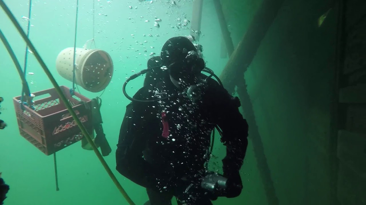 Underwater breakwall repair-scuba diving. Salvage/construction/demolition/recovery.