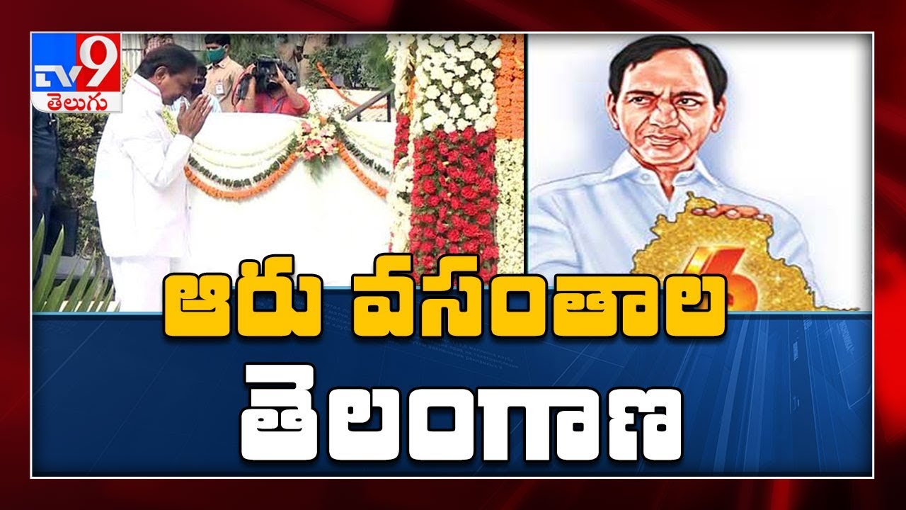 TRS leaders on Telangana Formation Day celebrations - TV9