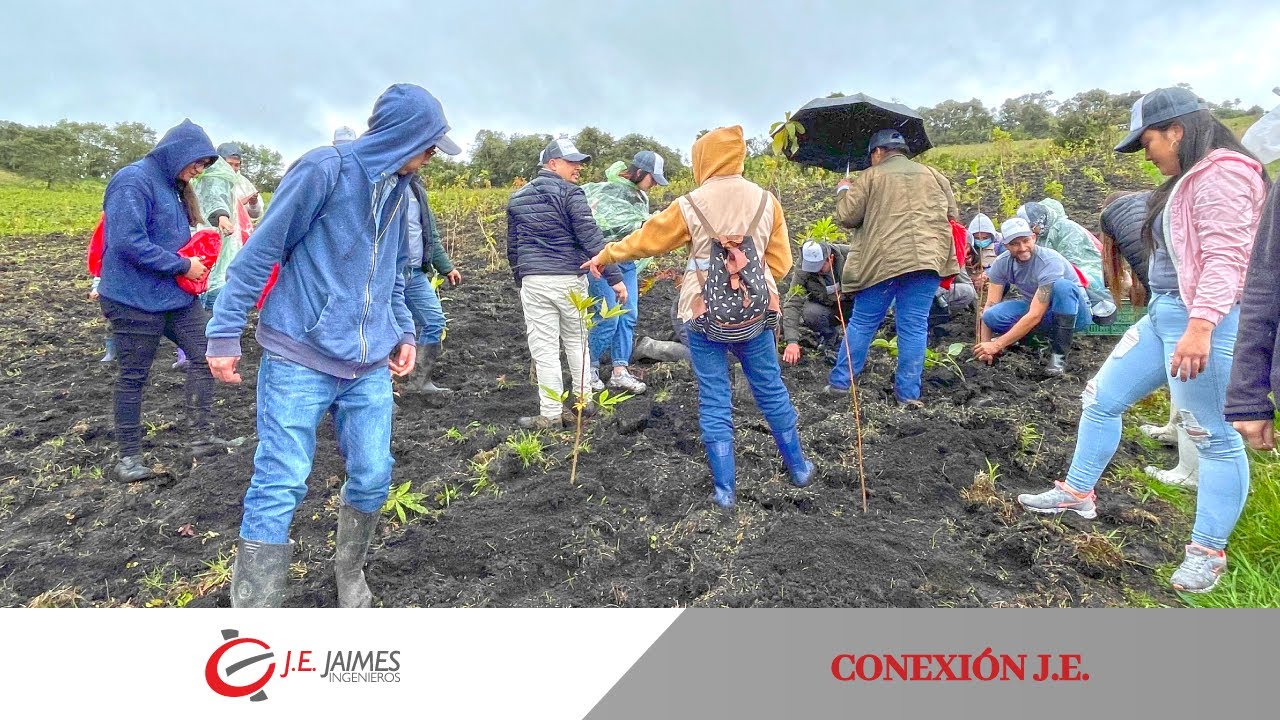 Jornada de Siembra de Árboles - Conexión J.E. / J.E. Jaimes Ingenieros
