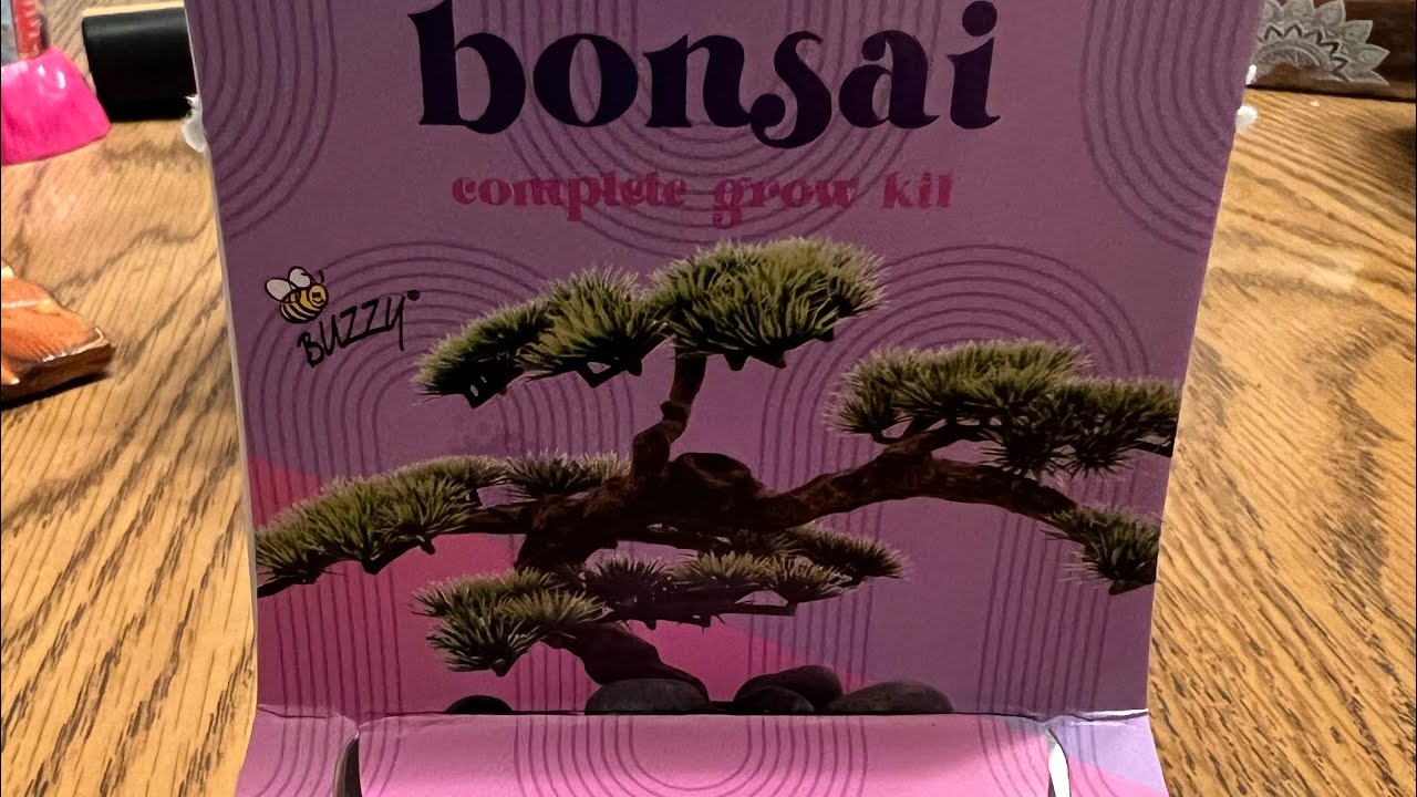 Bonsai Tree Grow Kit Part 1