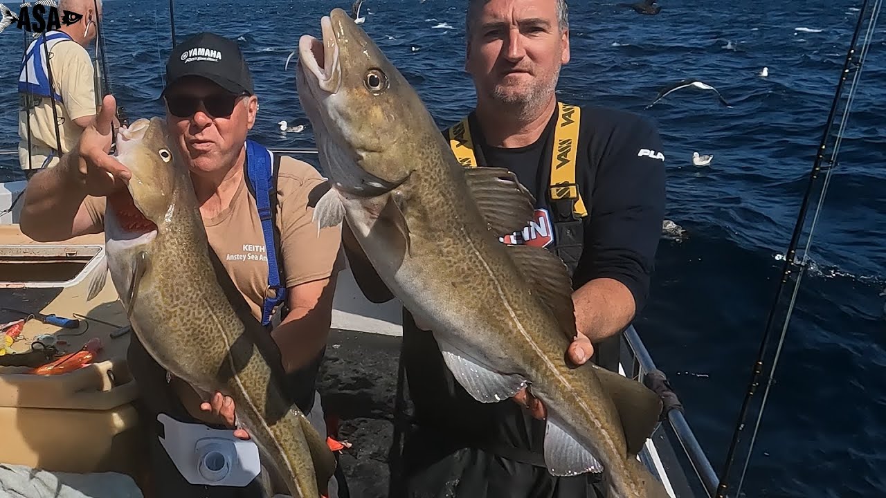 Shetland July 2023. A wonderful Cod Filled Trip
