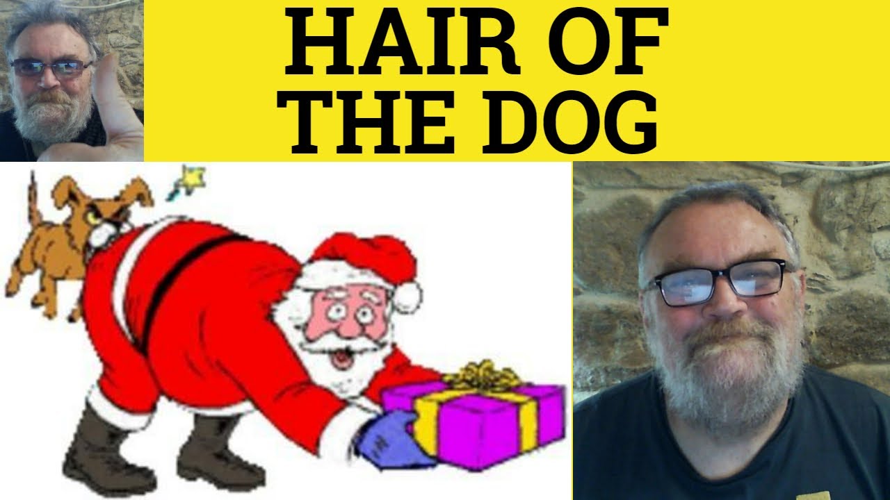 🔵 Hair of the Dog Meaning - Hair of the Dog that Bit You Examples - Hair of the Dog Defined - Idioms