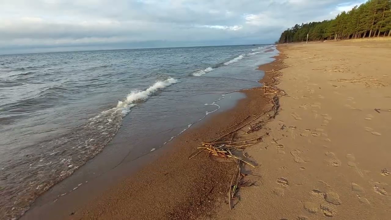 Walk the Baltic Sea coast of St. Petersburg 20.01.23 #walking #stpetersburg #sea #russia