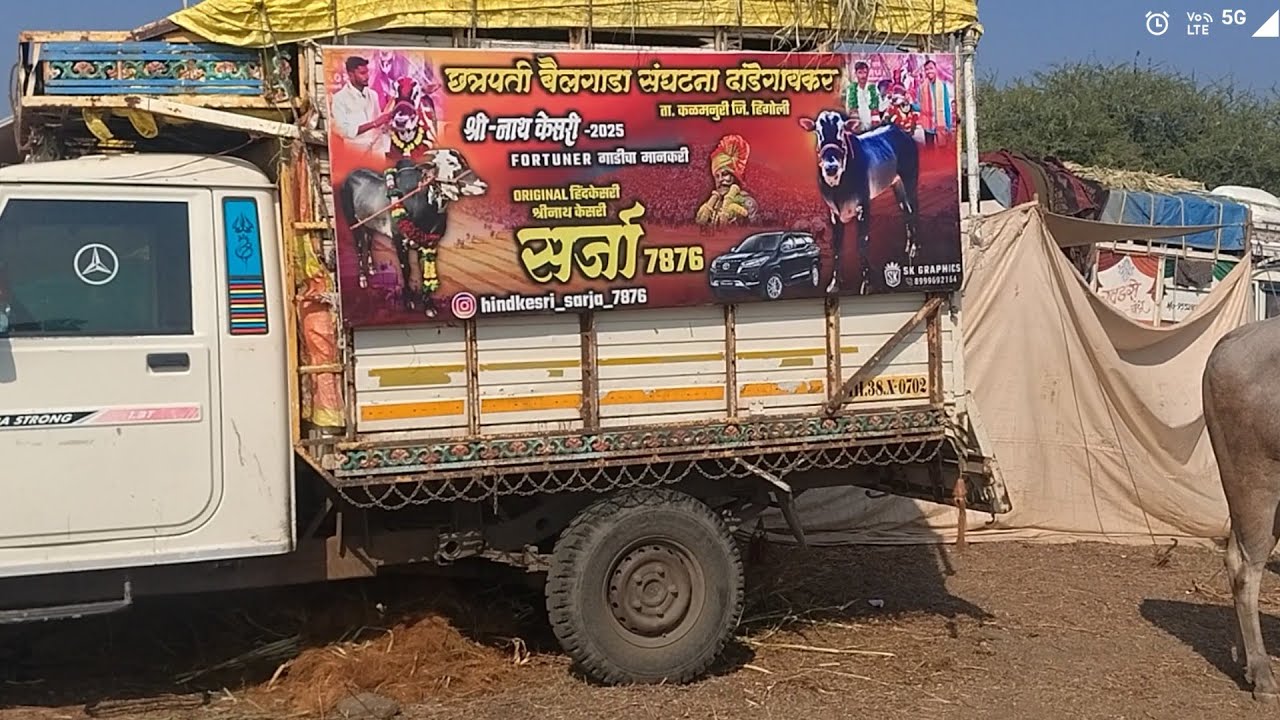 ✨बैलगाडा शर्यत, सारफळी, यवतमाळ. 👑