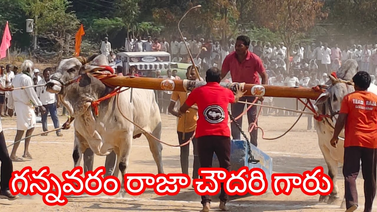 నరవ గ్రామం||సీనియర్స్ విభాగం 1వ జత గన్నవరం రాజా చౌదరి గారు 7-3-2026
