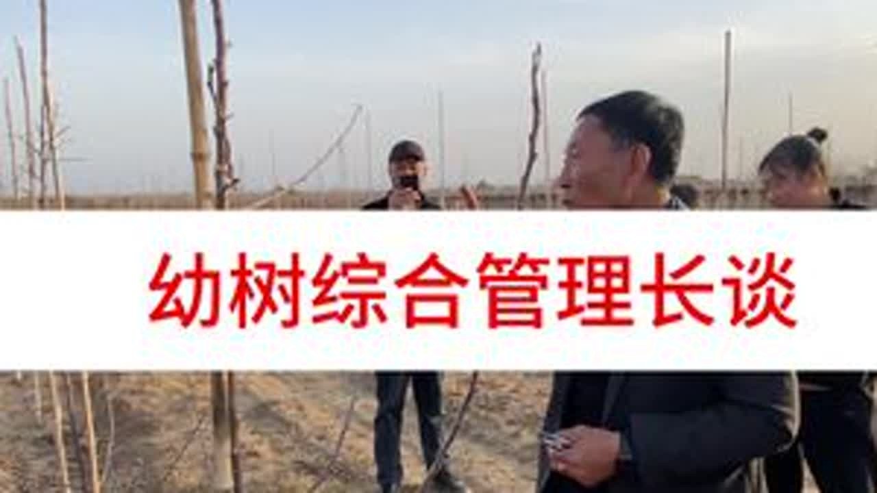 幼树综合管理长谈 #洛川大海 #抖音助农