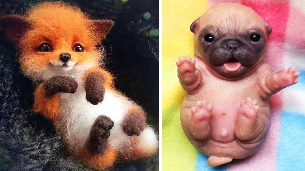 The Internet&rsquo;s Cutest Baby Animals Compilation 🐶✨ 2026 #2