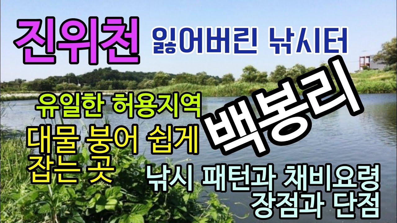 백봉리 포인트 대물급 출현 진위천 유일한 낚시허용구역