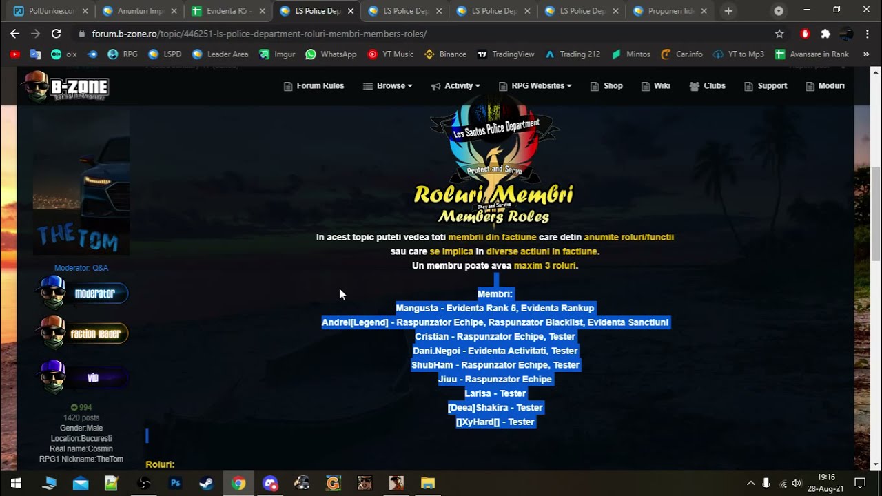 Sedinta LSPD pe Discord.