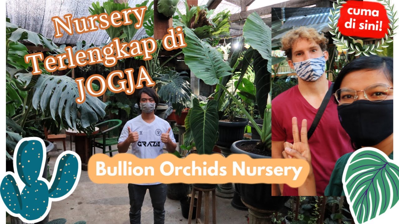 Nursery Tanaman Terlengkap di JOGJA | Bullion Orchids Nursery | MattHera