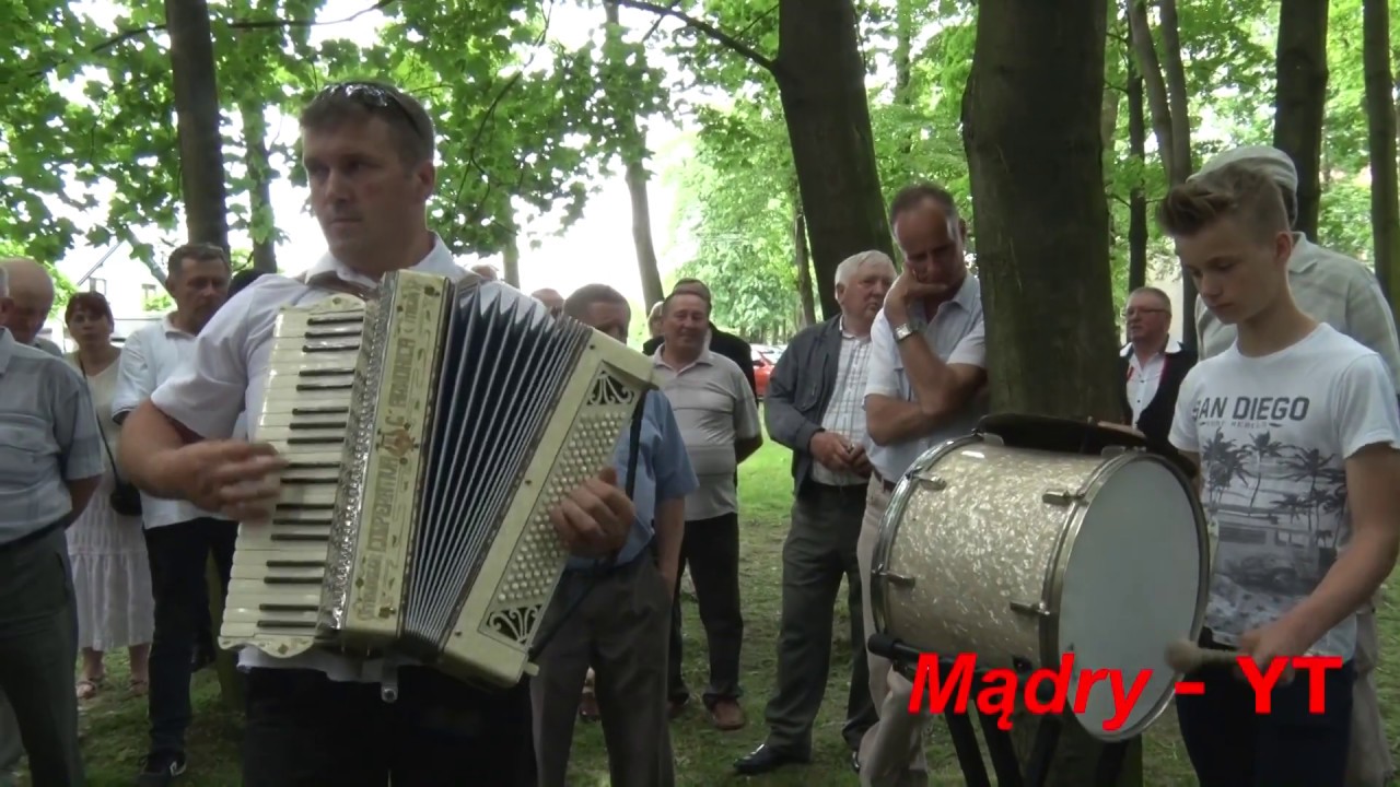 Szybki, radomski kawałek w wykonaniu wspaniałego harmonisty Tomasza STACHURY, Przysucha 2017
