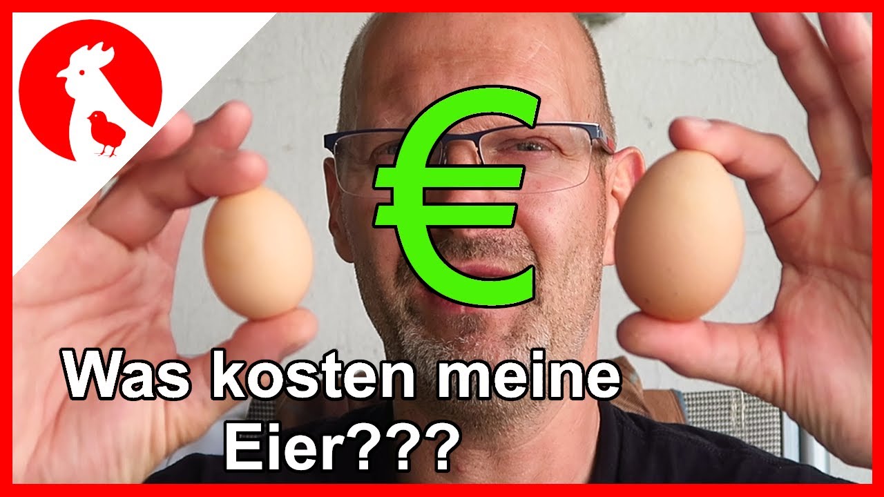 062 Was kosten mich meine Eier in der privaten Hobby Hühner Haltung? -  Jensman and the Huhns 🐔