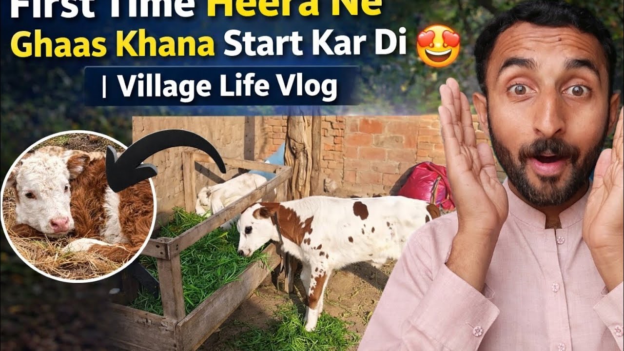 Heera’s Wild Nature Adventure! 🐾🌿||village life Vlog
