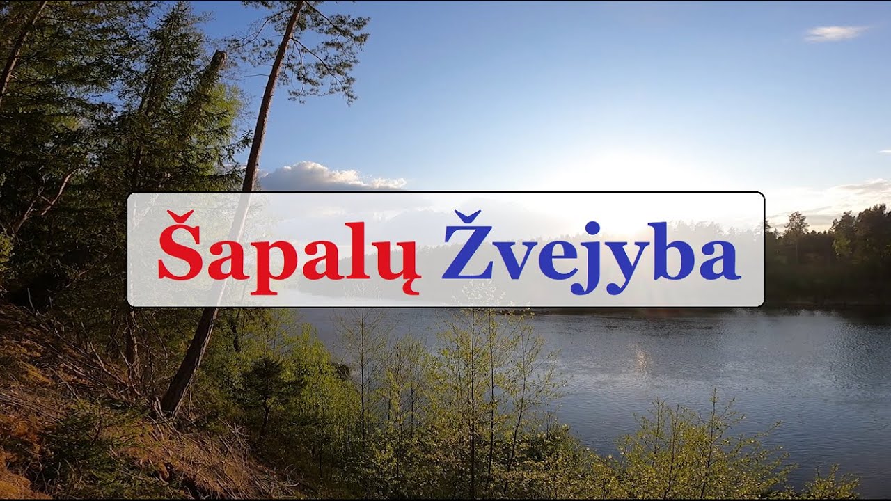 Šapalų Žvejyba - Gabrielius Ser