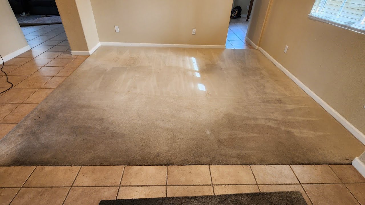 Unbelievable Carpet Cleaning