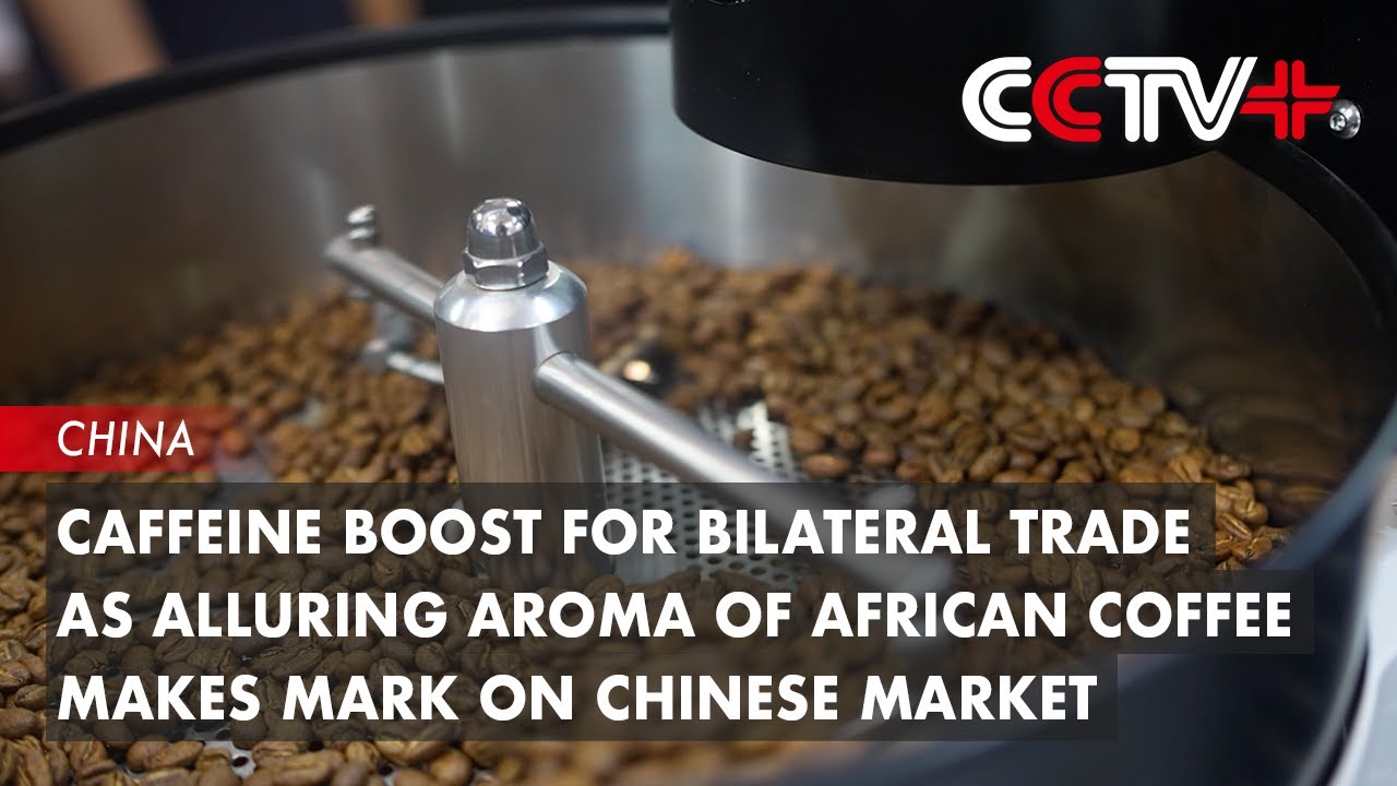 Caffeine Boost for Bilateral Trade as Alluring Aroma of African Coffee Makes Mark on Chinese Market